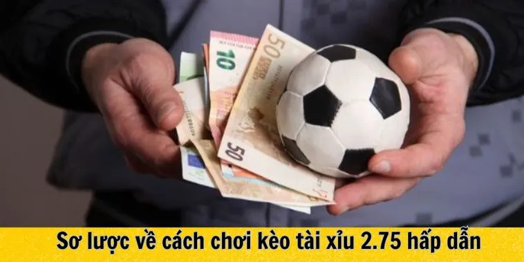 Cách Đọc Và Chơi Kèo 2.75 Trong Bóng Đá Cho Người Chuyên Nghiệp