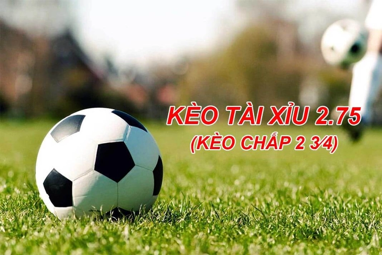 Cách Đọc Và Chơi Kèo 2.75 Trong Bóng Đá Cho Người Chuyên Nghiệp