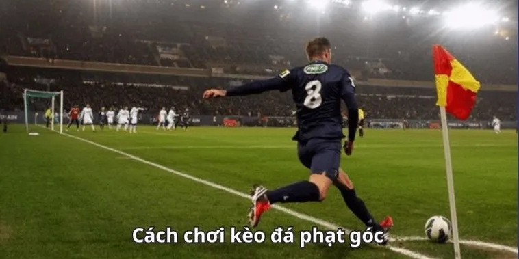 Cẩm Nang Chinh Phục Kèo Phạt Góc Bóng Đá Và Cách Soi Tỷ Lệ Góc Hiệu Quả