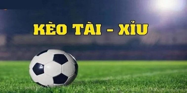 Kèo Tài Xỉu Bóng Đá Bí Quyết Đọc Vị Và Chiến Thắng Nhà Cái