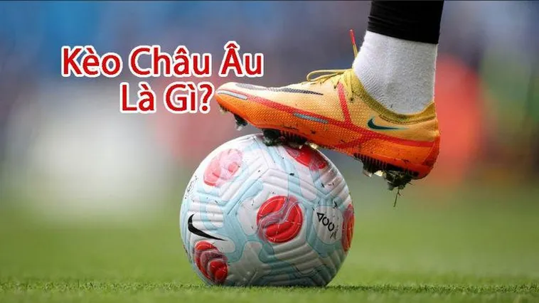 Hướng Dẫn Cách Đọc Kèo Châu Âu Và Bí Quyết Đầu Tư Luôn Thắng
