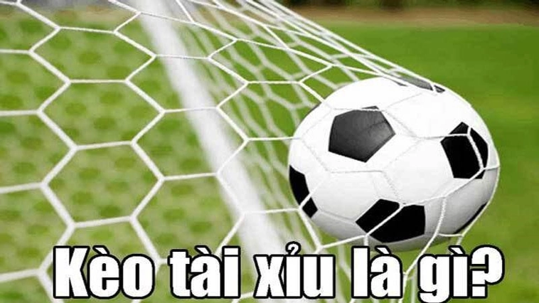 Hướng Dẫn Chơi Kèo Tài Xỉu Bóng Đá Và Bí Quyết Soi Kèo Luôn Thắng